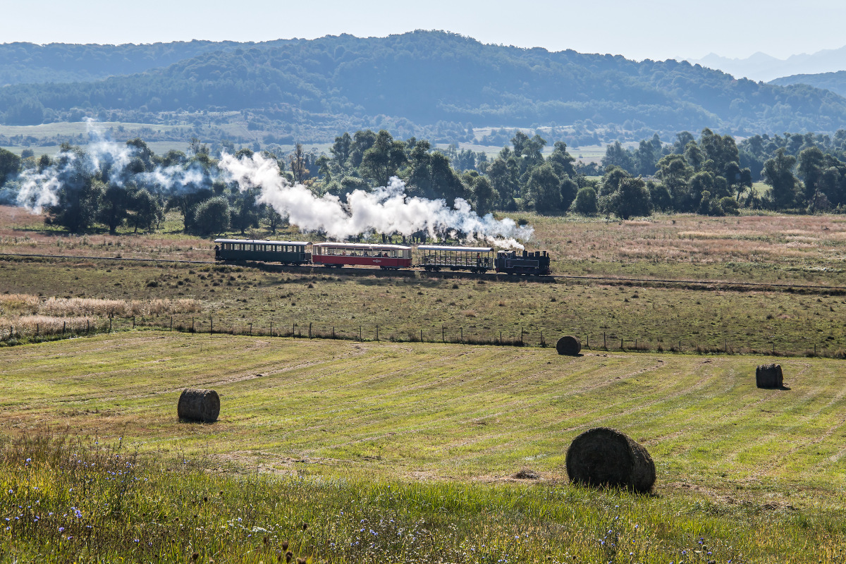 Das erste Zugpaar Cornățel – Hosman an diesem Samstag wurde wenig nachgefragt, dafür ergab sich im Morgenlicht eine schöne Dampfstimmung für die Fotografen an der Strecke