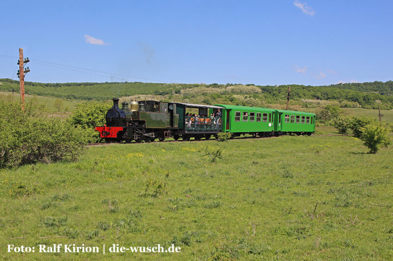Auf dem Weg von Hosman nach Cornățel.