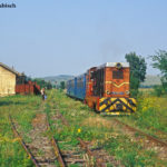 Und auch in Nocrich nutzte Thomas Kabisch die Gelegenheit für ein Foto des Zugs nach Sibiu